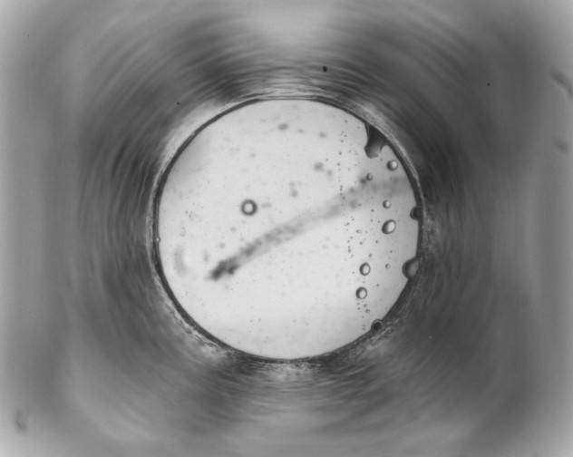 X0000102241195200808151746