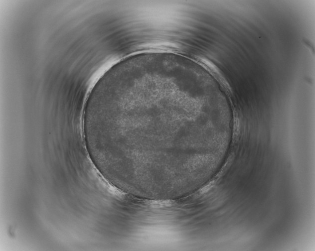 X0000102241196200808151746