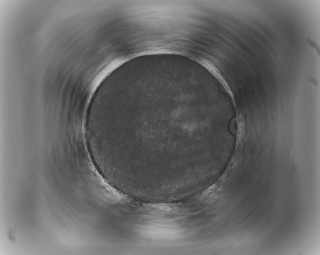 X0000102241197200808151746