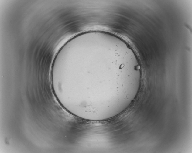 X0000102241199200808151746