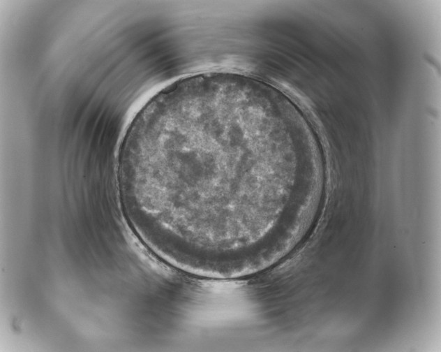 X0000102241200200808151746