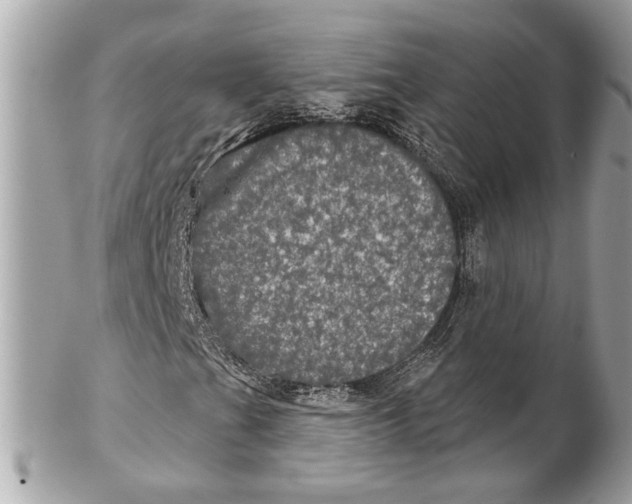 X0000102241201200808151745