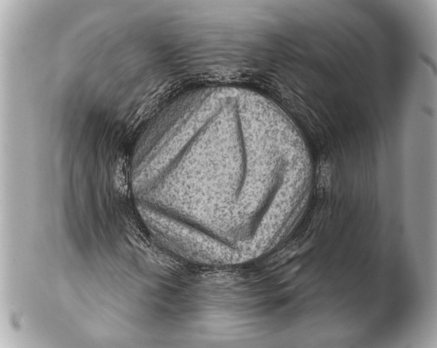 X0000102241202200808151745