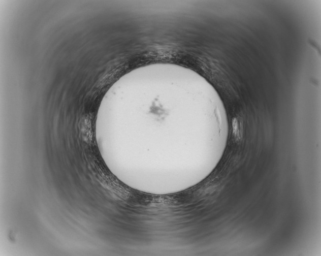 X0000102241203200808151745