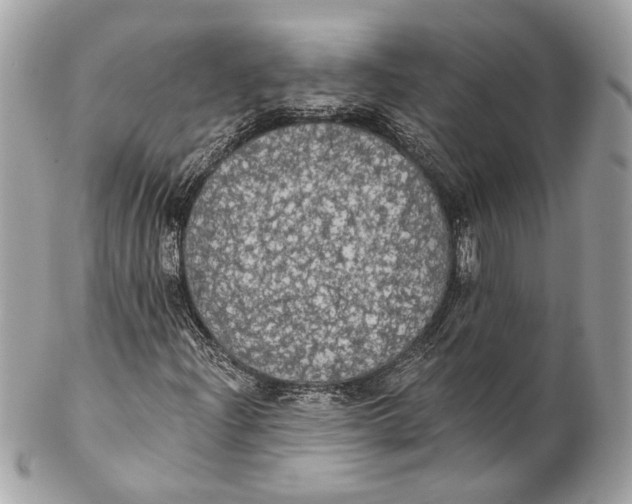 X0000102241204200808151745