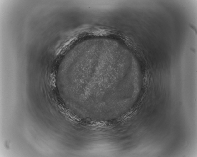 X0000102241205200808151745