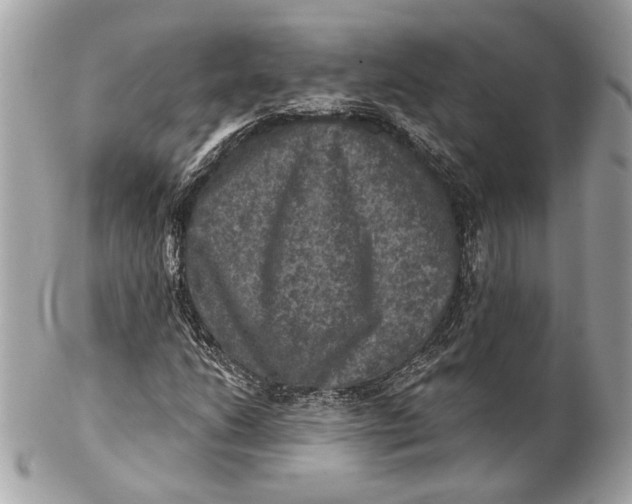 X0000102241206200808151745