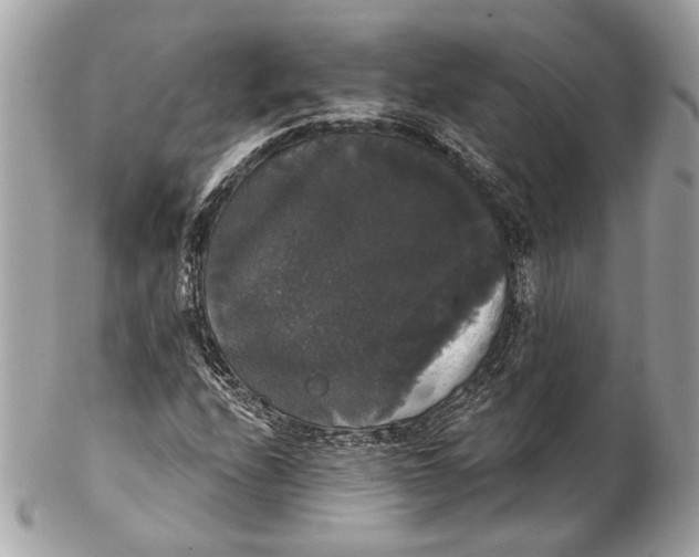 X0000102241208200808151745