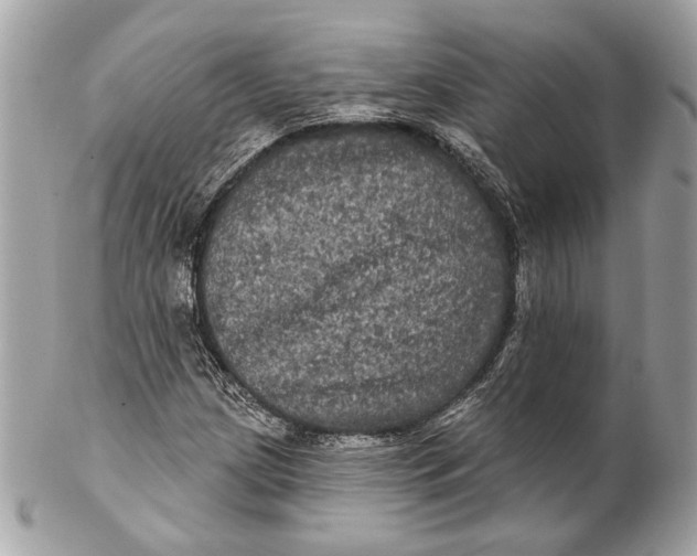 X0000102241209200808151745