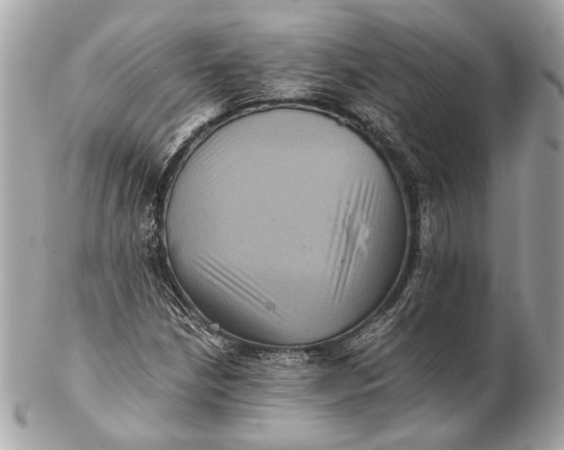 X0000102241210200808151745