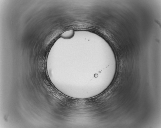 X0000102241211200808151745