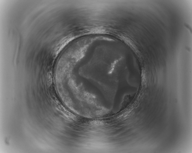 X0000102241212200808151745