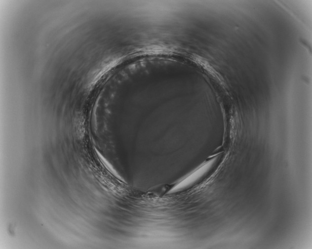 X0000102241213200808151745