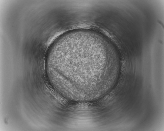 X0000102241214200808151745