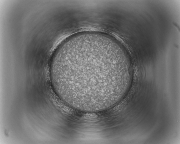 X0000102241215200808151745