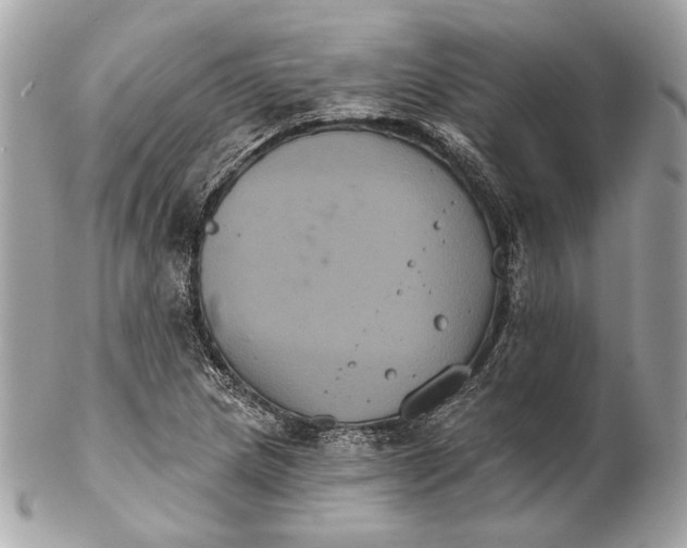 X0000102241217200808151745