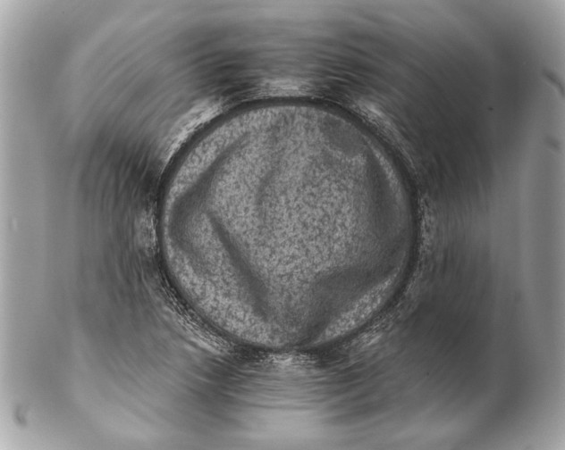 X0000102241218200808151745