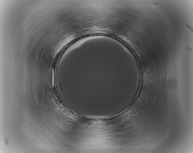 X0000102241219200808151745