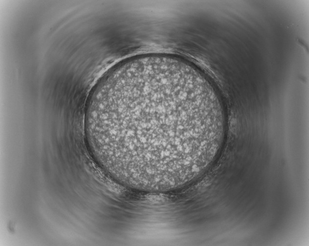 X0000102241220200808151745