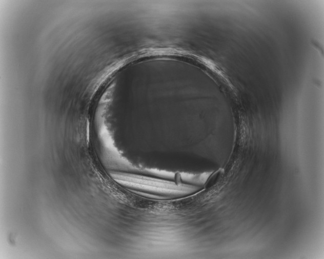 X0000102241221200808151745