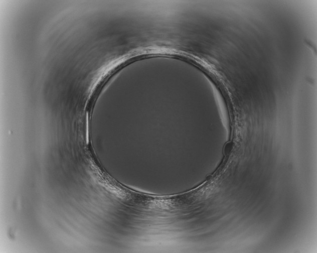 X0000102241223200808151745