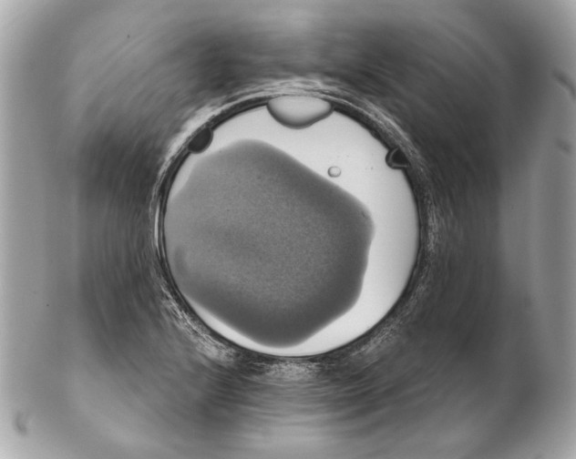 X0000102241224200808151745