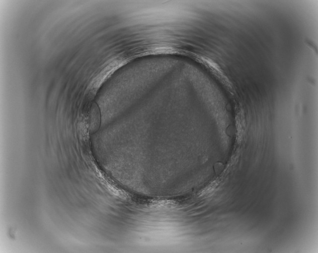 X0000102241225200808151745