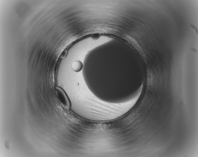 X0000102241226200808151745