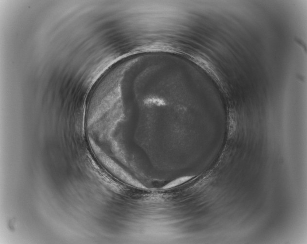 X0000102241228200808151745