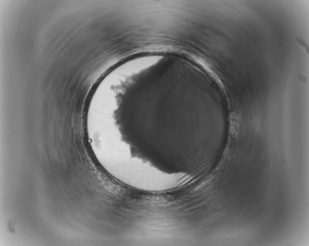 X0000102241229200808151745