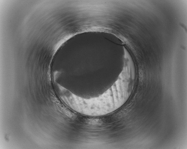 X0000102241230200808151745