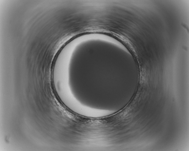 X0000102241231200808151745