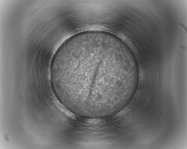 X0000102241232200808151745