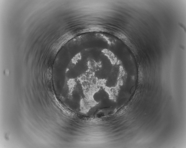 X0000102241233200808151745