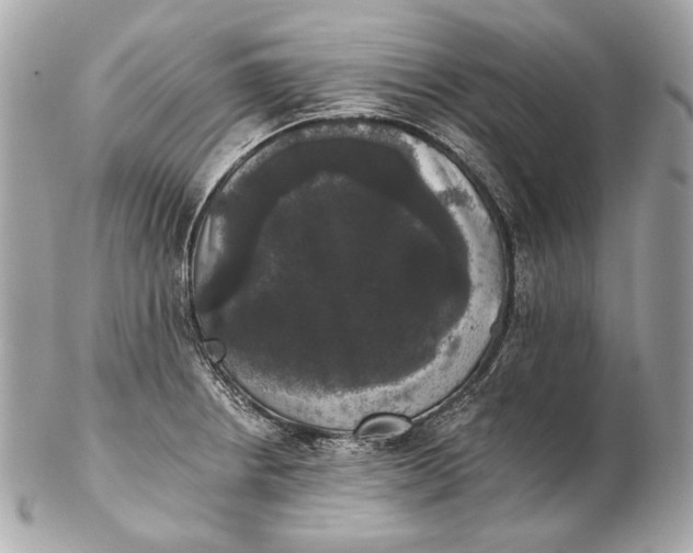 X0000102241234200808151745