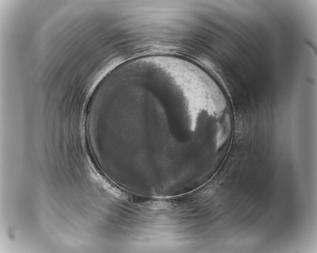 X0000102241235200808151745