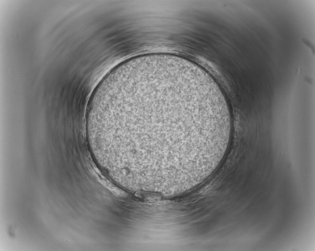 X0000102241236200808151745