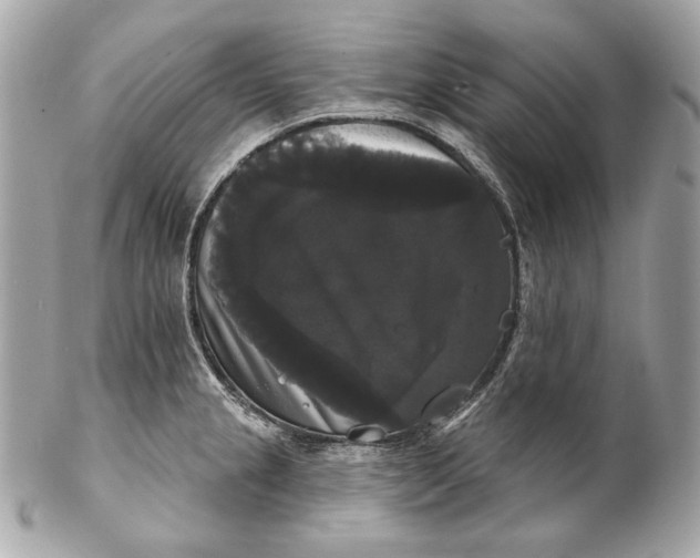 X0000102241237200808151746