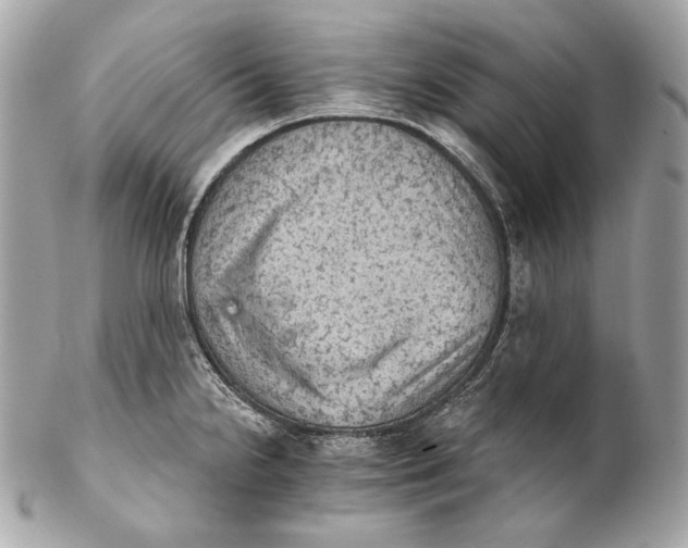 X0000102241238200808151746