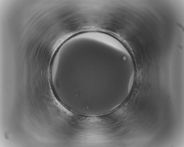 X0000102241239200808151746