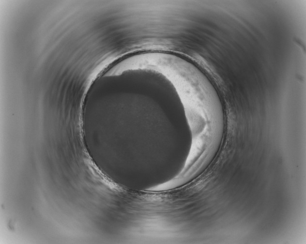 X0000102241240200808151746