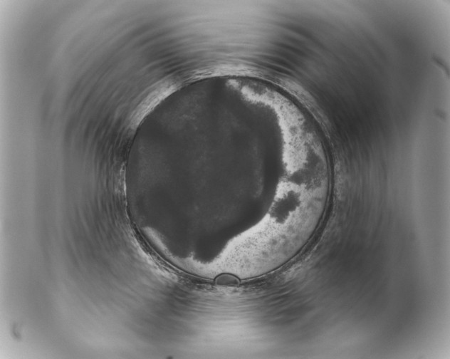 X0000102241241200808151746