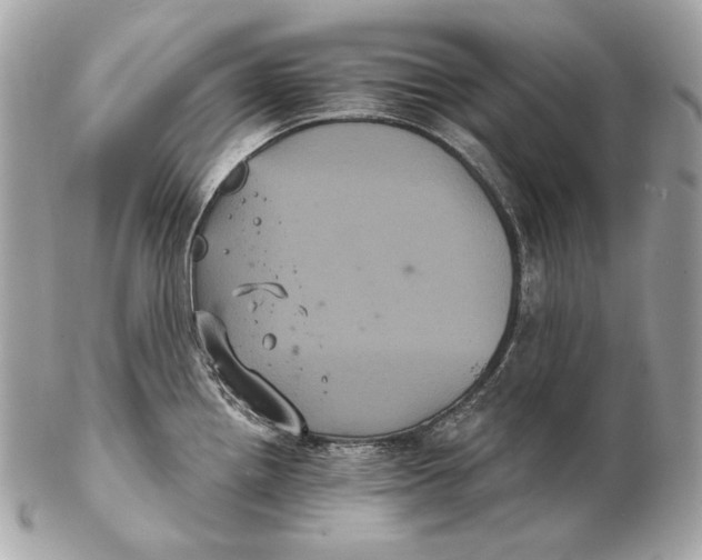 X0000102241242200808151746