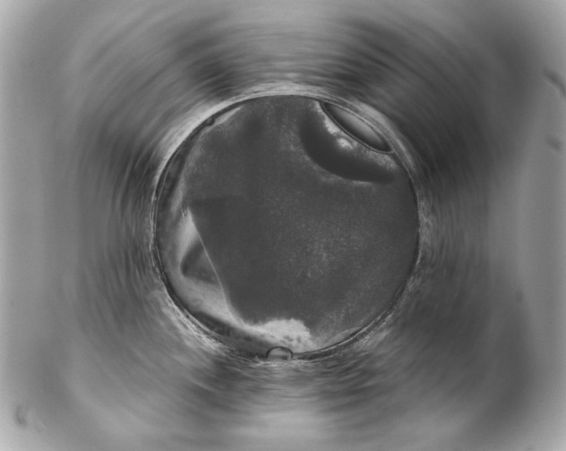 X0000102241244200808151746