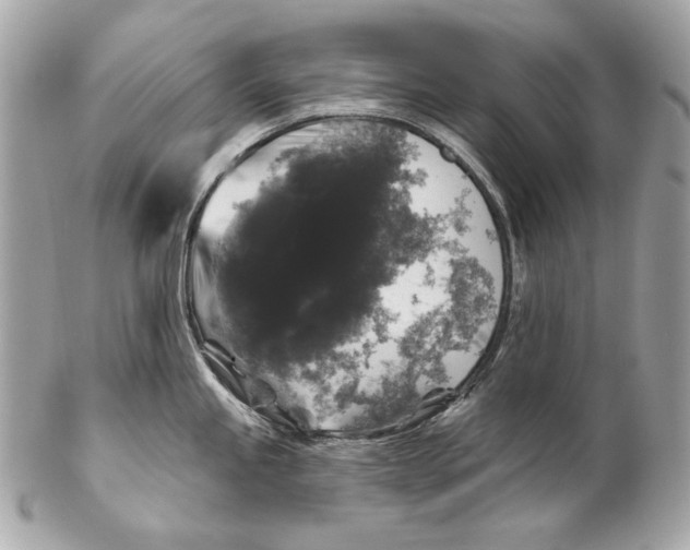 X0000102241245200808151746