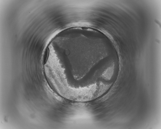 X0000102241248200808151746