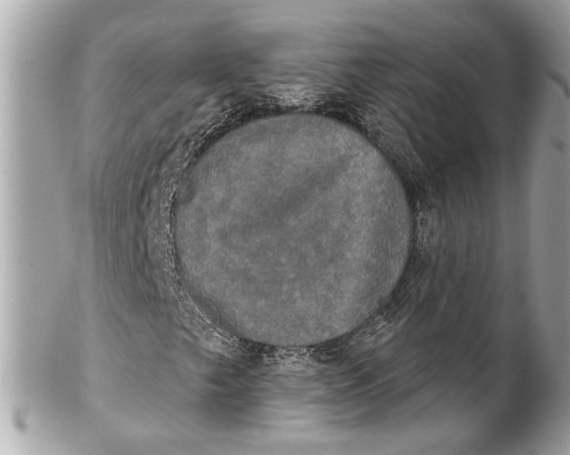 X0000102241249200808151745