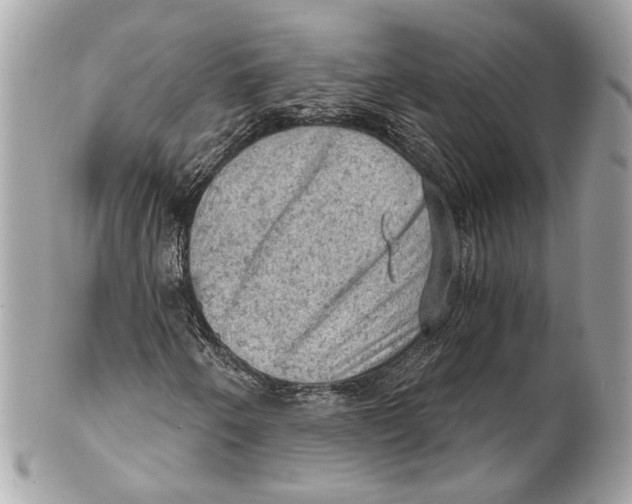 X0000102241250200808151745