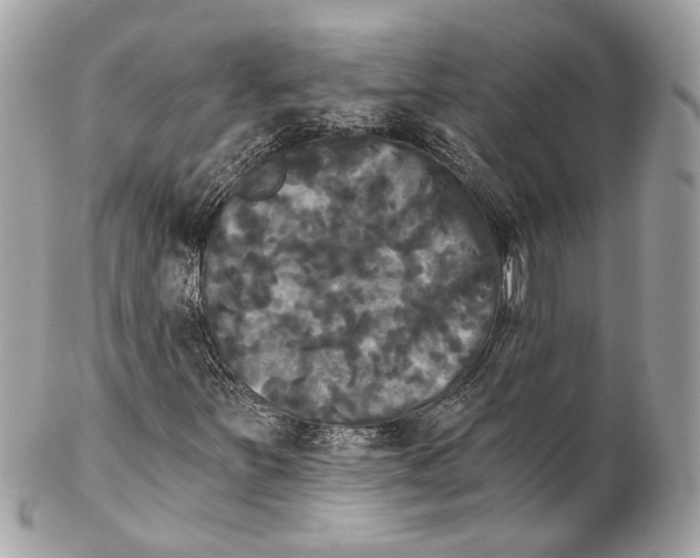 X0000102241251200808151745