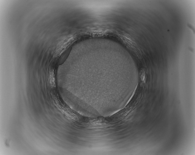 X0000102241252200808151745